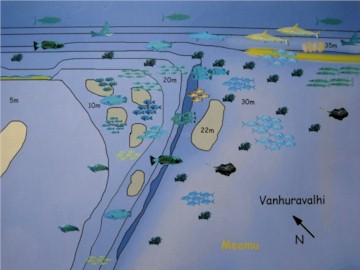 Vanhuravalhi Kandu